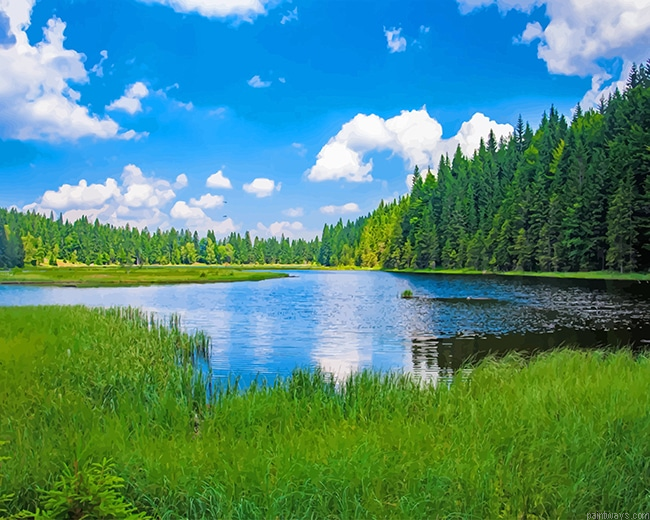 Kleiner Arbersee Lake New Painting By Numberss.png