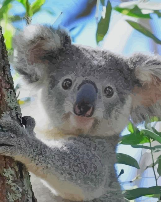 Koala On Tree New Painting By Numberss.png