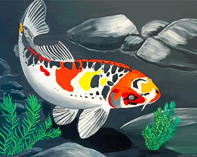 Koi Carp Fish Painting By Numbers.png