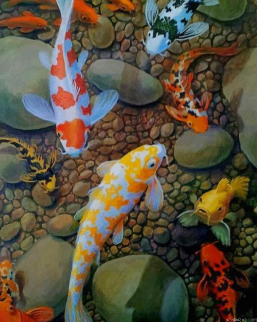 Koi Fish New Painting By Numberss.png