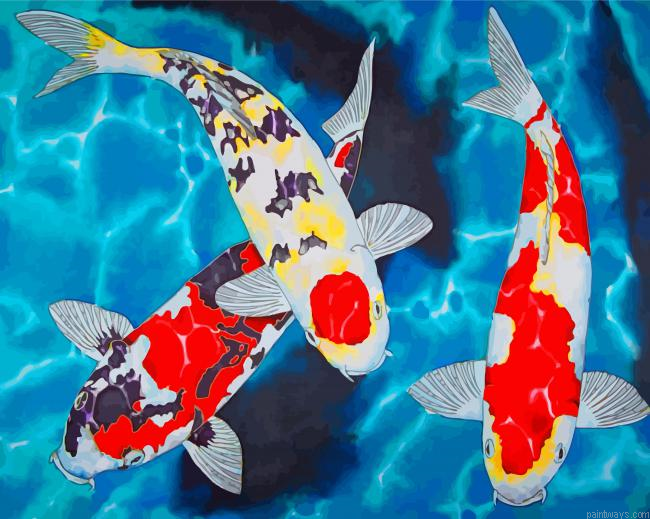 Koi Fish Underwater Painting By Numbers.png
