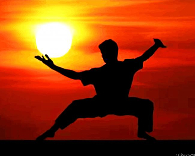 Kung Fu Man Silhouette Painting By Numbers.png