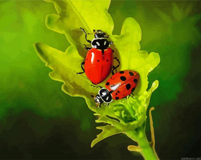 Ladybugs On A Leaf Painting By Numberss.png