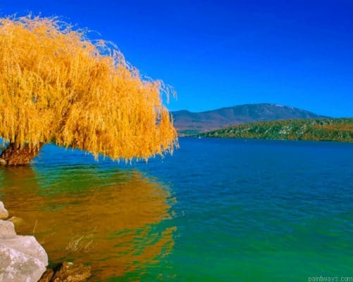 Lake Willow Yellow Tree Painting By Numbers.png
