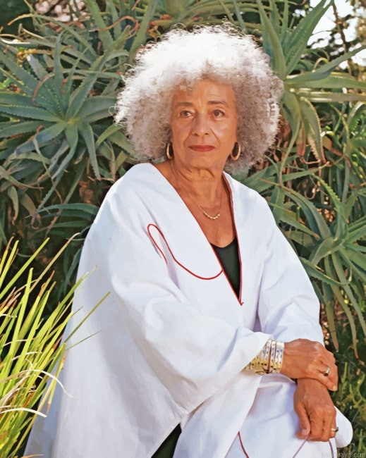 Legend Angela Davis Painting By Numberss.png