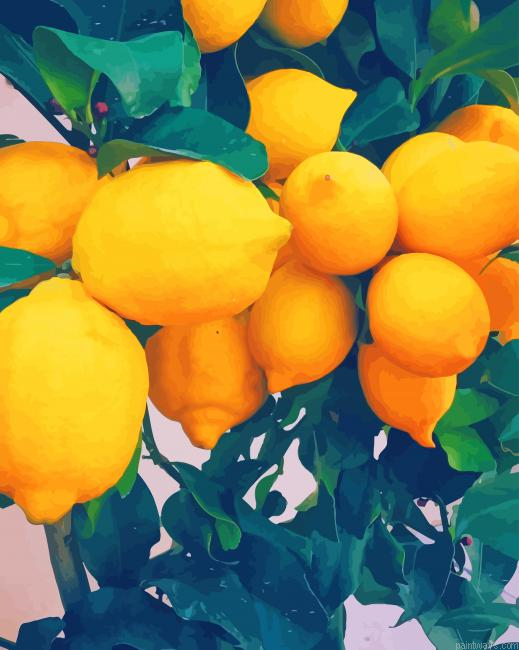 Lemon Tree New Painting By Numberss.png