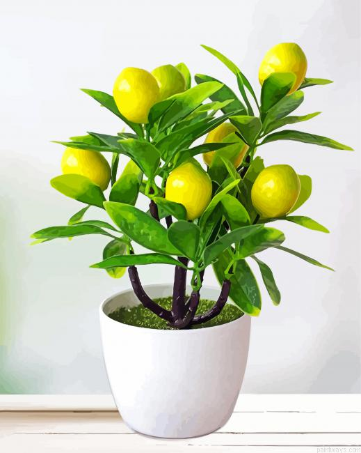 Lemon Tree Plant Painting By Numberss.png