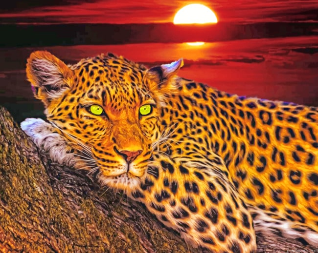Leopard Animals Painting By Numberss.png