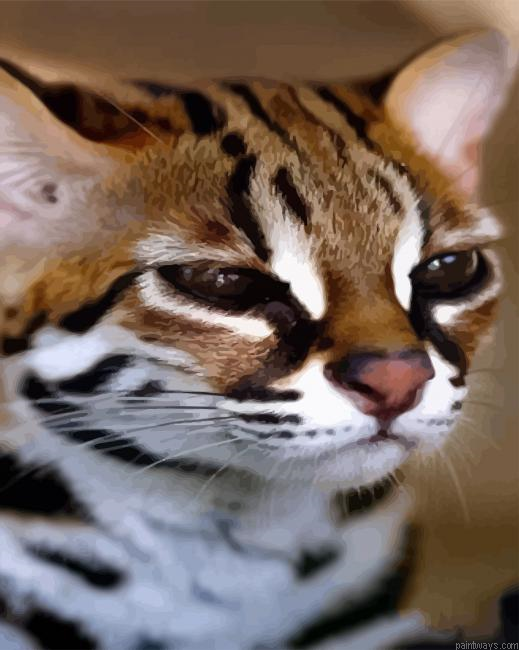 Leopard Cat New Painting By Numberss.png