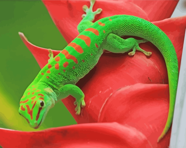 Leopard Gecko Painting By Numberss.png
