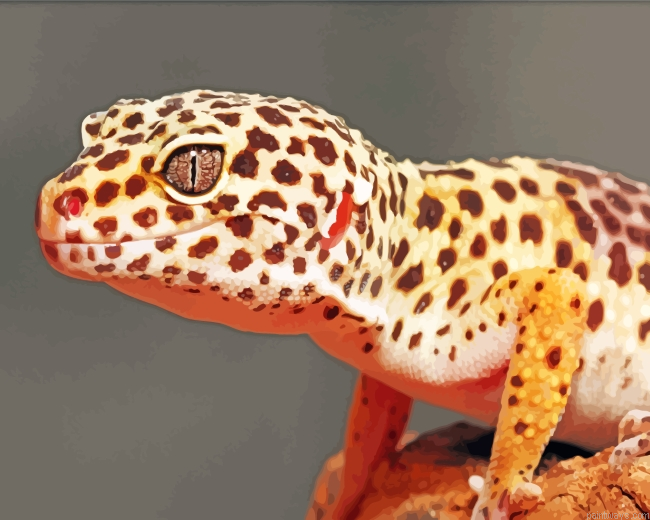 Leopard Gecko Reptile Painting By Numberss.png