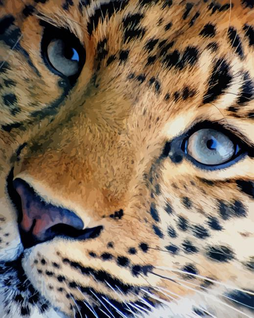 Leopard Portrait New Painting By Numberss.png