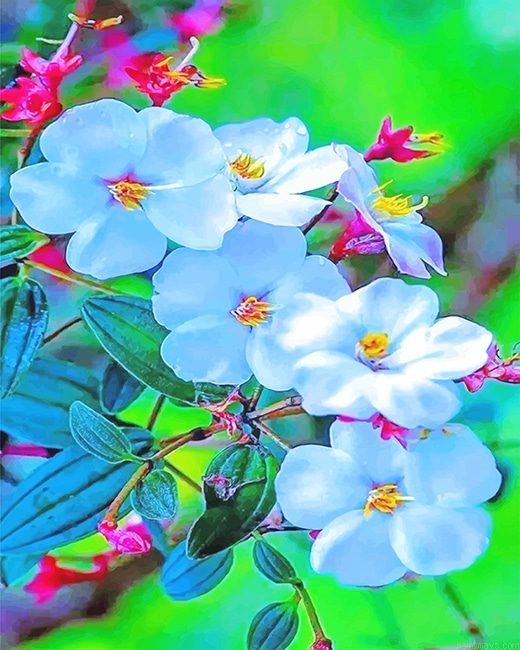 Light Blue Archid New Painting By Numberss.png