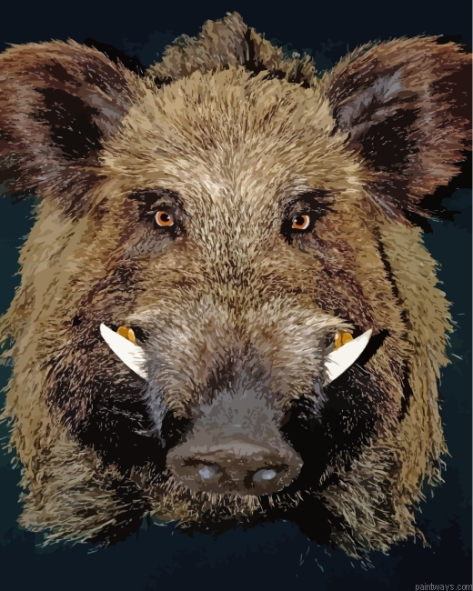 Little Boar Face Painting By Numberss.png