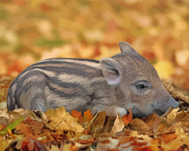 Little Boar Painting By Numberss.png