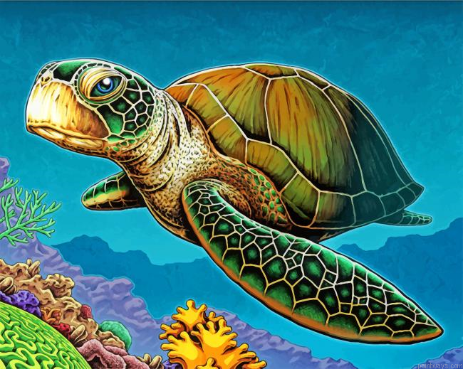 Loggerhead Sea Turtle Painting By Numbers.png
