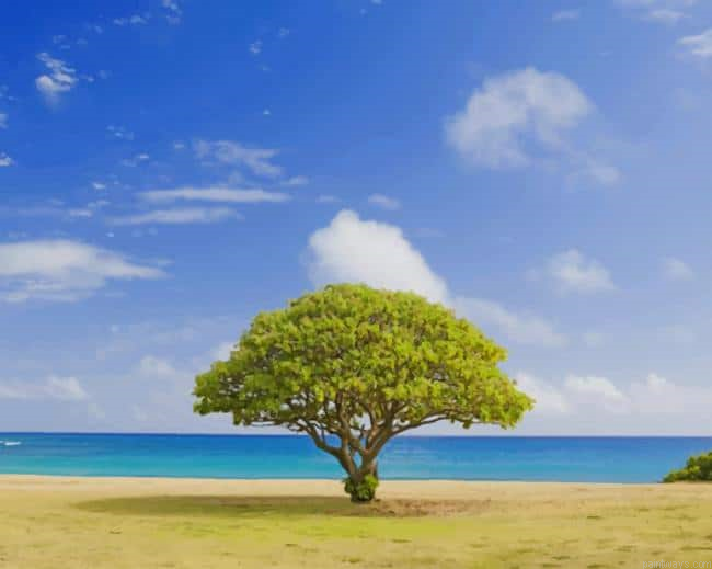 Lone Tree In The Beach New Painting By Numberss.png