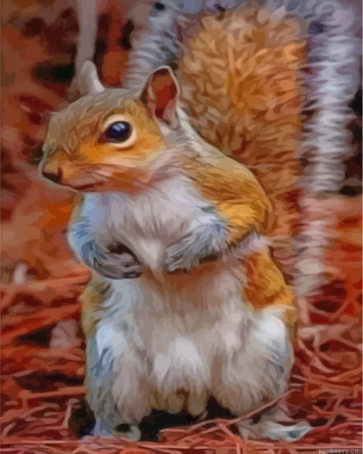 Lonely Squirrel Painting By Numbers.png