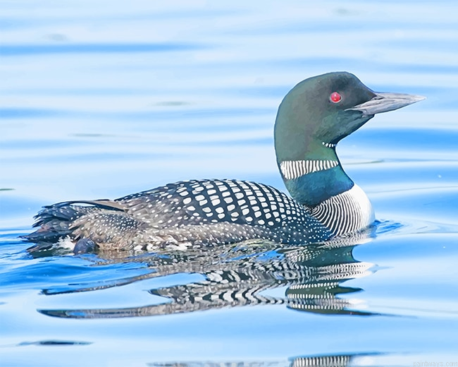 Loon Bird New Painting By Numbers.png