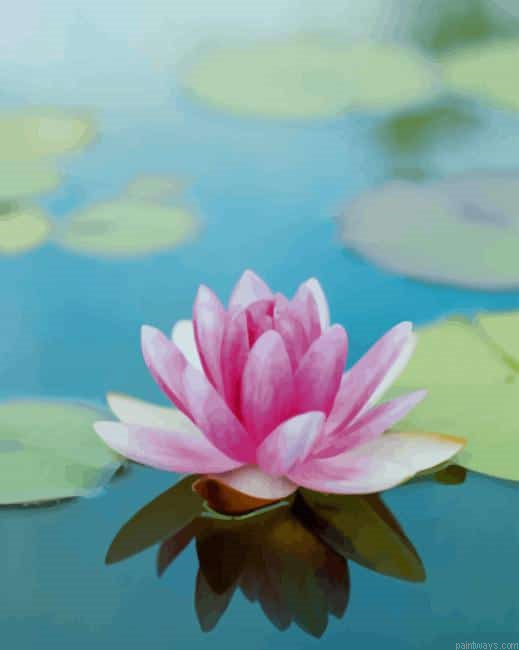 Lotus In Water New Painting By Numberss.png