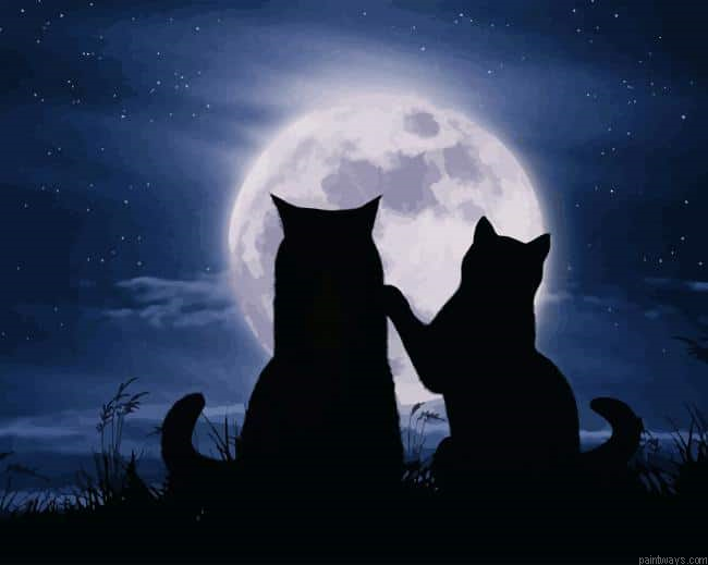 Lovely Cats Silhouette New Painting By Numberss.png