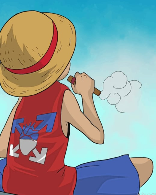 Luffy Character From One Piece Animations Painting By Numberss.png