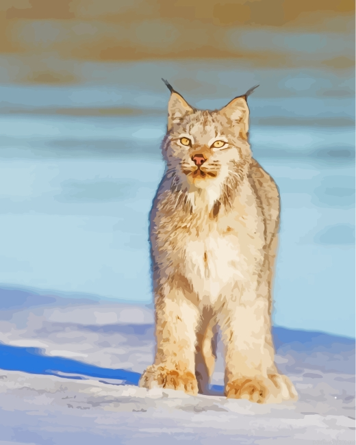 Lynx Cat In Snow Painting By Numberss.png