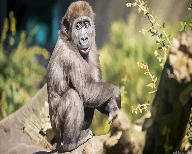 Macaque Monkey New Painting By Numberss.png