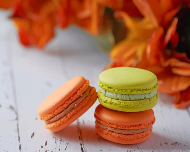 Macarons Food Painting By Numberss.png