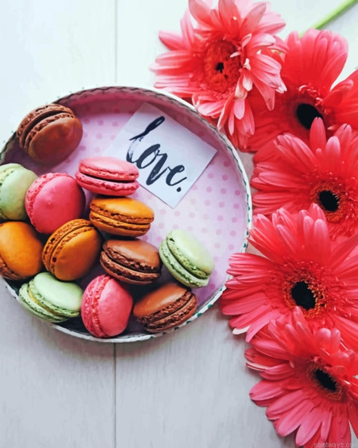 Macarons Lovers Food Painting By Numberss.png