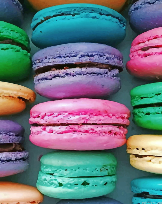 Macaroons Food Painting By Numberss.png