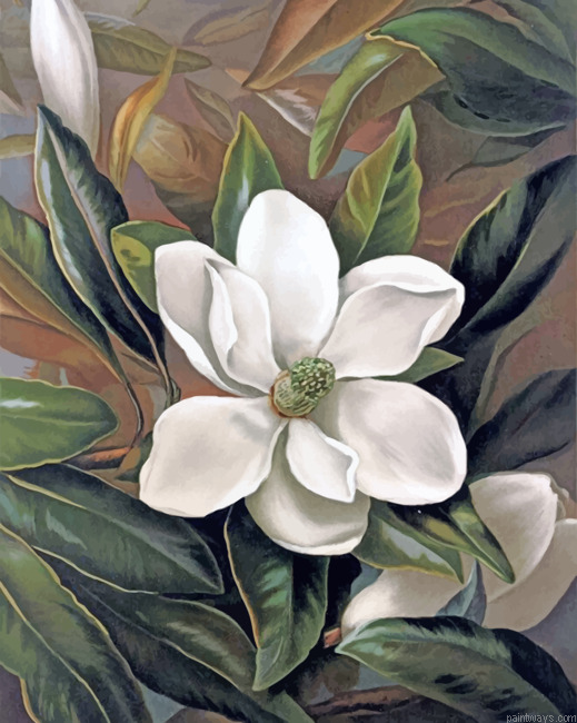 Magnolia Flower Painting By Numberss.png