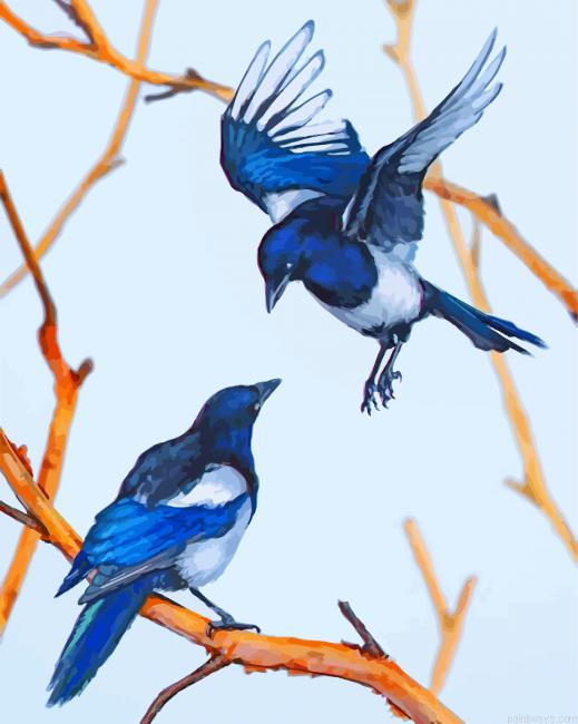 Magpie Birds Painting By Numbers.png
