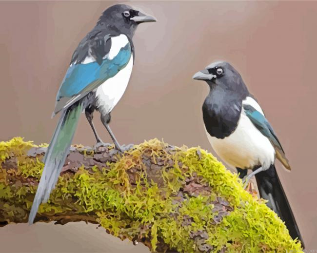 Magpies On Branch Painting By Numberss.png