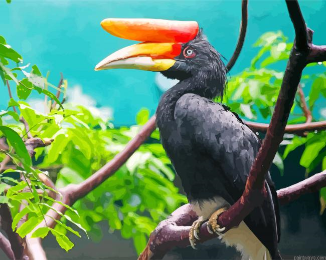 Malaysia Hornbill Bird Painting By Numbers.png