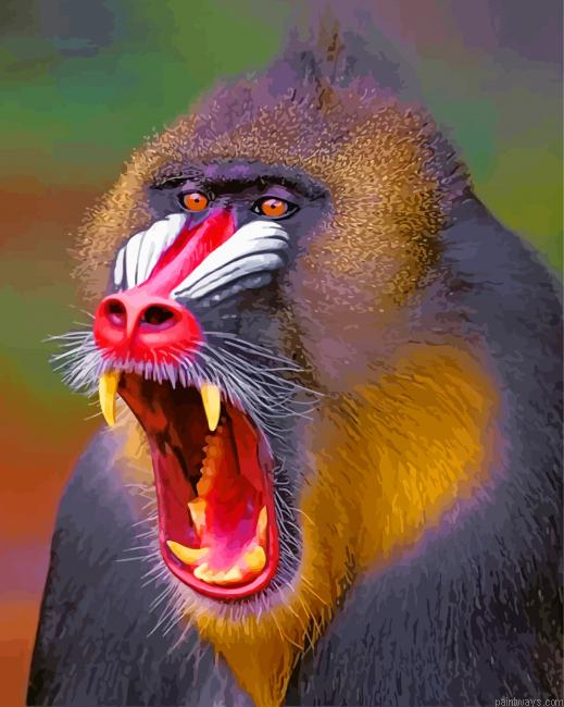 Mandrill Animal Painting By Numberss.png