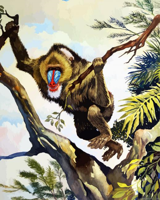 Mandrill In Jungle Painting By Numberss.png