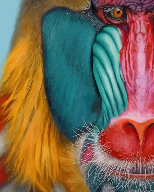 Mandrill Monkey New Painting By Numberss.png