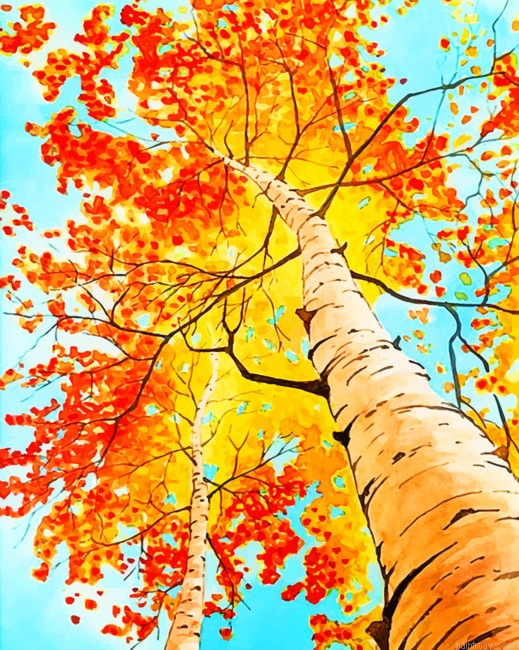 Maple Leaf Plants Painting By Numberss.png