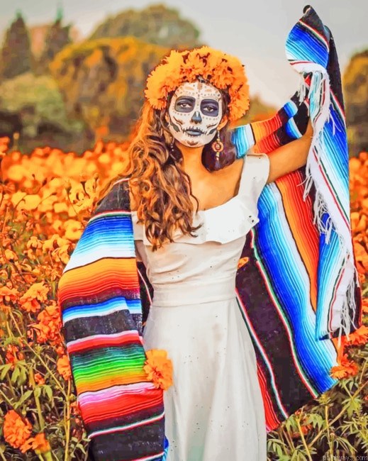 Mexican Girl Catrina Costume Arts Painting By Numberss.png