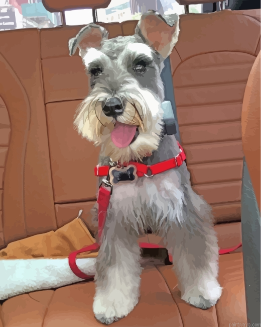 Miniature Schnauzer Painting By Numbers.png