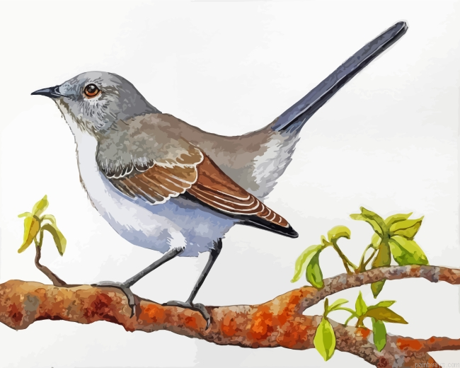 Mockingbird On Stick Painting By Numbers.png