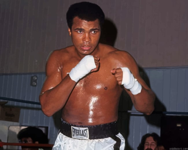 Mohammad Ali The Boxer Painting By Numbers.png