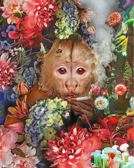 Monkey Smoking Painting By Numbers.png
