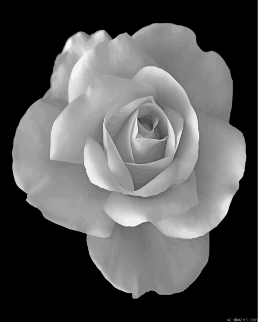 Monochrome Rose Painting By Numbers.png