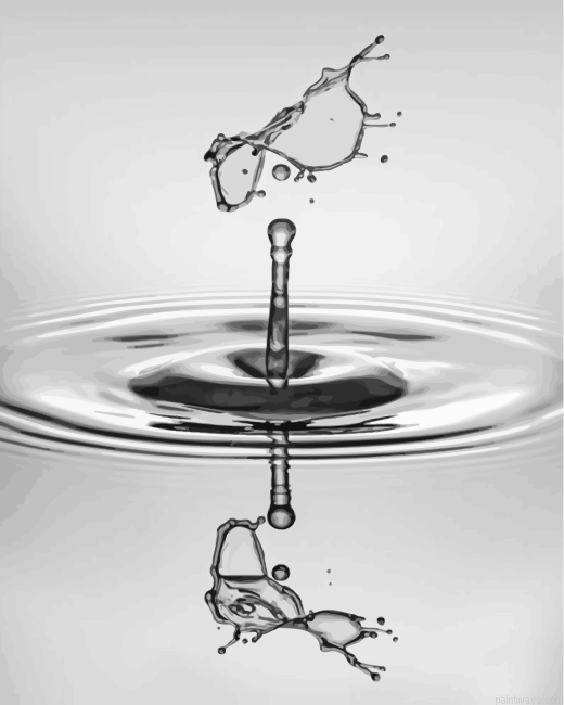 Monochrome Water Drop Painting By Numbers.png