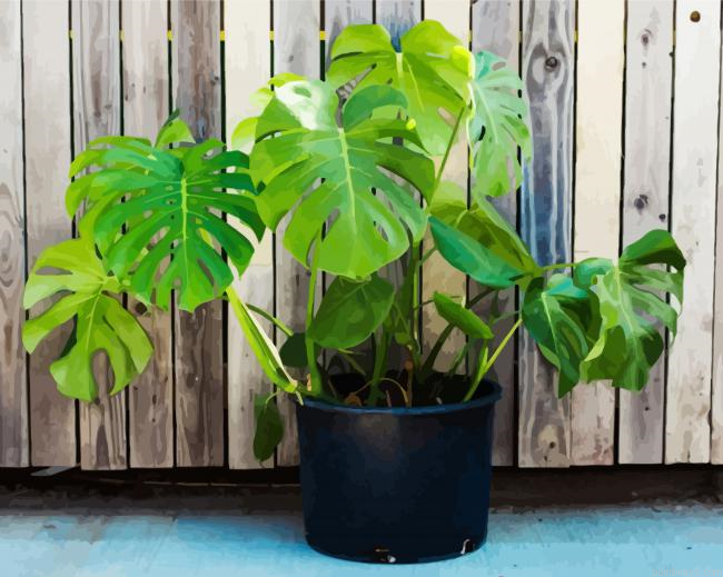 Monstera Plant Pot Painting By Numberss.png