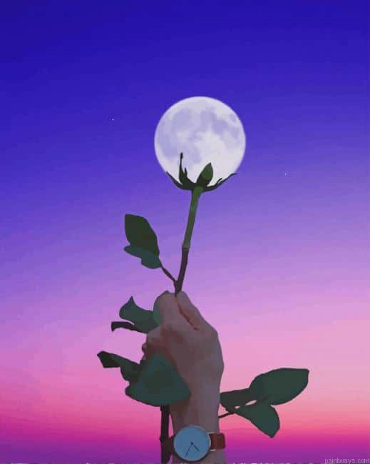 Moon Flower New Painting By Numberss.png