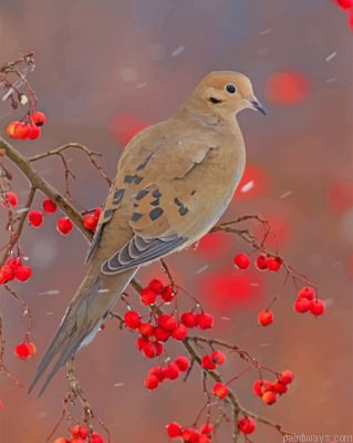 Mourning Dove Painting By Numbers.png