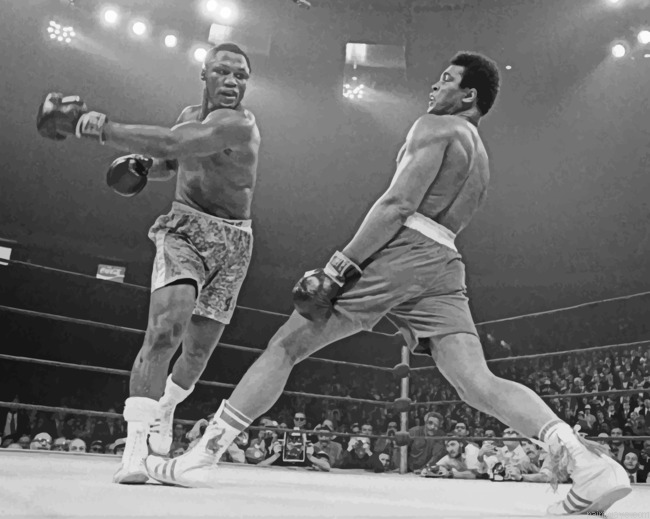 Muhammad Ali Fighting Boxer Painting By Numberss.png